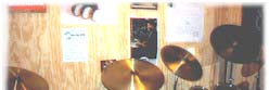 musroom.jpg (5075 bytes)