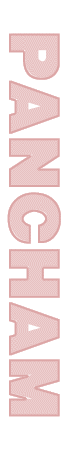 side.gif (3768 bytes)